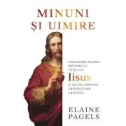 Minuni si uimire. Cercetare asupra misterului vietii lui Iisus si asupra originii credintelor crestine