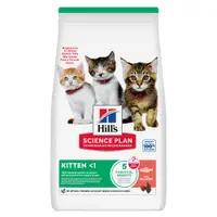 Hills Sp Feline Kitten Salmon 7 Kg