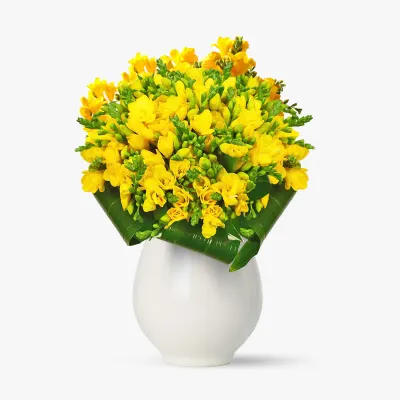 Buchet de 49 frezii galbene