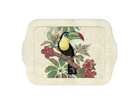 Tava - Petit Amis Toucan