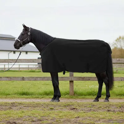 vidaXL Pătură pentru cai Negru 75 cm Fleece din poliester