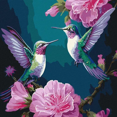Set de pictură după numere Ideyka - Colibri, 40 x 40 cm