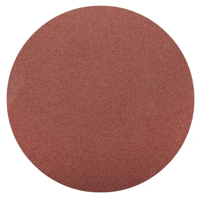 x 5 DISC ABRAZIV PRINDERE ARICI FARA GAURI 210 mm, 60 granulatie, Evotools 680612