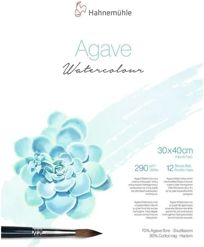 Caiet de schite Hahnemuhle Agave Watercolour - 30 x 40 cm, 12 de foi