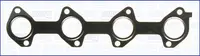 Garnitura galerie evacuare (pentru cilindrii: 1; 2; 3; 4) potrivit RENAULT ESPACE III, LAGUNA I, SAFRANE II 2.2D 11.93-03.01