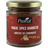 Amestec de Condimente Magic Spice Barbecue 110g