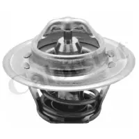 Termostat, lichid racire CALORSTAT by Vernet TH5962.82J