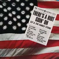 There's A Riot Goin' On - Vinyl