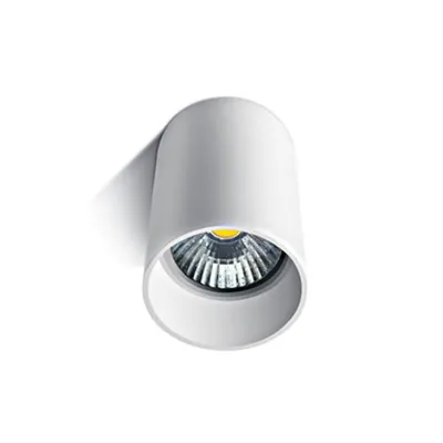 Boba ceiling luminaire 20W GU10 MR16 IP20 alb