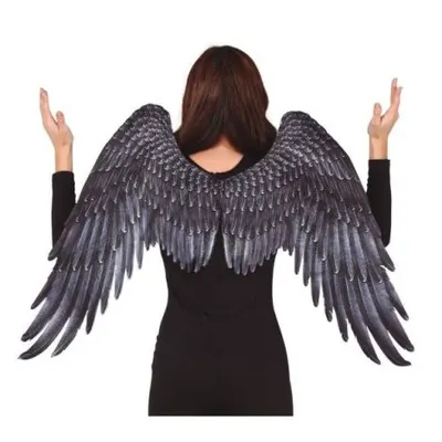 Aripi inger panza negre