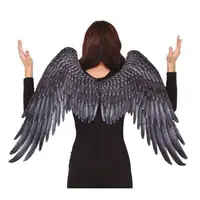 Aripi inger panza negre