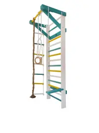 Spalier Gimnastica, 200x80 cm, Multifunctional, COLORAT, 12 BARE - M8200CL