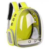 Rucsac Pentru Transport Pisici, GalbenTransparent, 31x42x28 cm