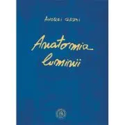 Anatomia luminii