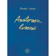 Anatomia luminii