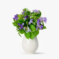 Buchet de 15 frezii mov