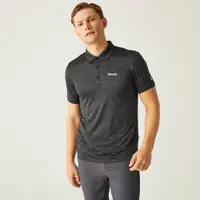 Funktionsshirt Remex II Wandern/Outdoor/Trekking Herren Ash Atmungsaktiv REGATTA