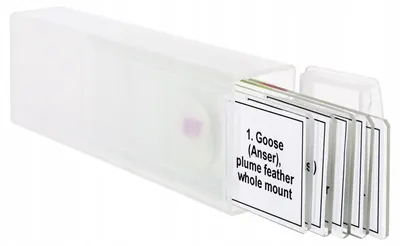 Set de microdispozitive Levenhuk - Discovery Prof DPS 5/Păsări