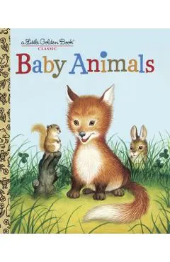 Baby Animals