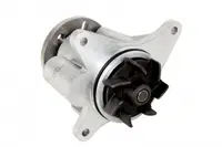 Pompa Apa Jaguar S-Tip, Xf, Xj; Land Rover Discovery Iii, Discovery Iv, Range Rover Sport 2.7d Dupa 2004