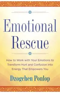 Emotional Rescue: How to Work with Your Emotions to Transform Hurt and Confusion Into Energy That Empowers You