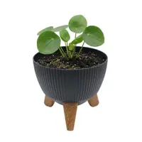 Ghiveci elegant cu trei picioare, H&S Collection, culoare negru, diametru 19 cm