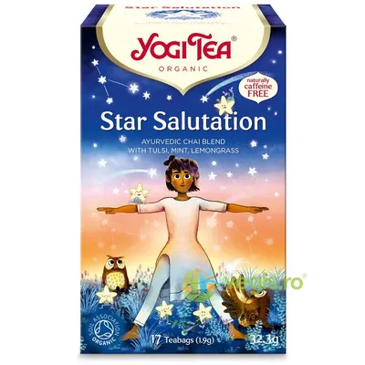 Ceai Star Salutation Ecologic/Bio 17 plicuri - 32.3g