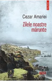 eBook Zilele noastre marunte