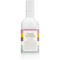 Waterclouds Repair Shampoo șampon de îngrijire delicată