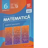 Matematica. Algebra, geometrie. Clasa a VI-a. Consolidare. Partea a II-a
