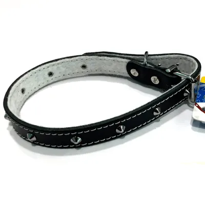 Zgarda din piele, neagra, cu tinte metalice, 18 mm x 470 mm