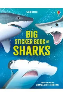 Big Sticker Book of Sharks