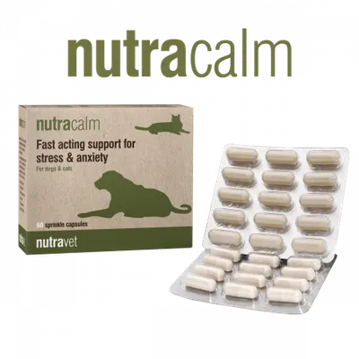 Nutravet Nutracalm supliment alimentar pentru câini și pisici 15 capsule: cu L-triptofan și GABA