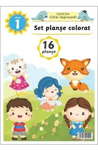 Set planse colorat
