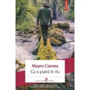 Ca o piatra in riu