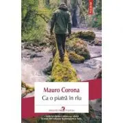Ca o piatra in riu