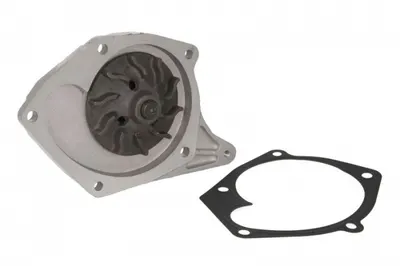 Pompa Apa cu Garnitura Potrivit Nissan Almera Ii, Kubistar, Micra Iii; Renault Clio Ii, Clio Ii Hatchback, Clio Iii, Kangoo, Kangoo Express, Megane Ii, Megane Ii Kombi, Scenic Ii 1.5d 06.01