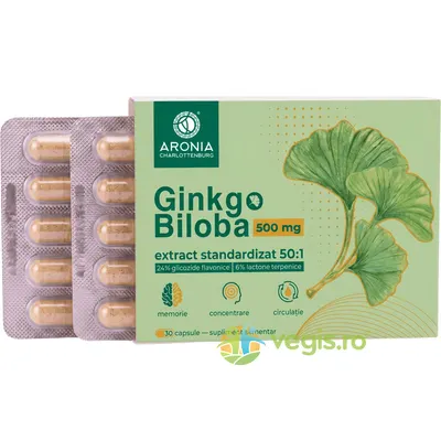 Ginkgo Biloba 500mg 30cps