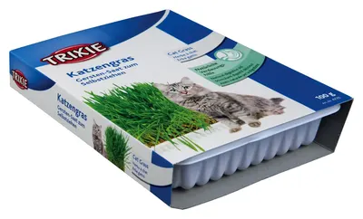 Castron Plastic cu Seminte de Iarba 100 g 4235