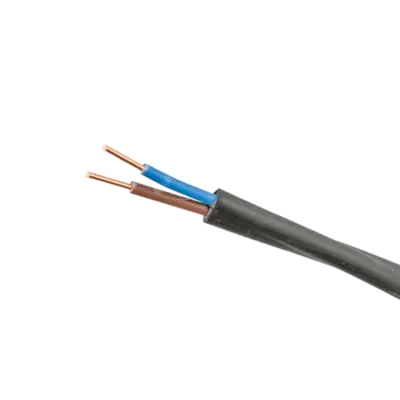 Cablu Alimentare Свт 2x4mm² 0.6/1kv
