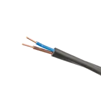 Cablu Alimentare Свт 2x4mm² 0.6/1kv