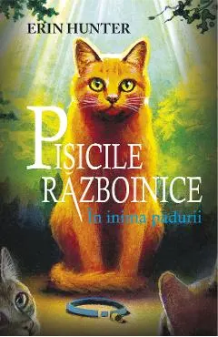 Pisicile Razboinice Vol.1: In inima padurii