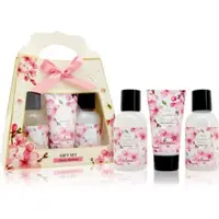Accentra Essential Botanicals Gift Set set cadou pentru corp