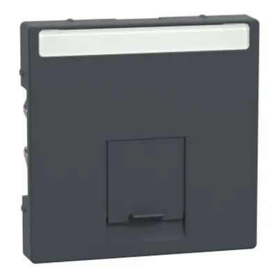 Placa Centrala simpla pentru Conector-Schneider Electric Rj45, Antracit