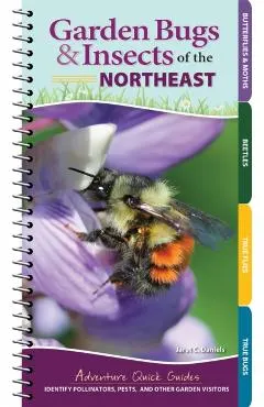 Garden Bugs & Insects of the Northeast: Identify Pollinators, Pests, and Other Garden Visitors