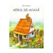Aerul de-acasa