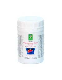Regenerare ficat 550mg, 90 capsule, Steaua Divina