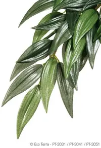 Exo Terra Planta Ruscus Small 35 CM PT3031