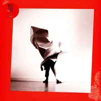 Grief Chapter - Vinyl