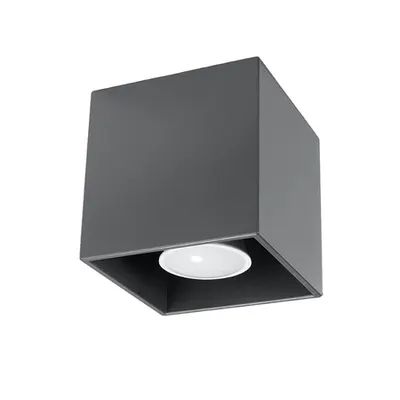 Corp de iluminat pentru tavan QUAD 1 anthracite